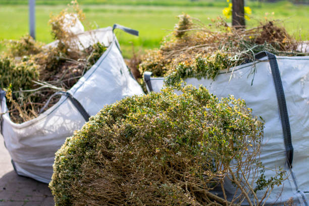 Best Yard Waste Removal  in Wildwood, TN